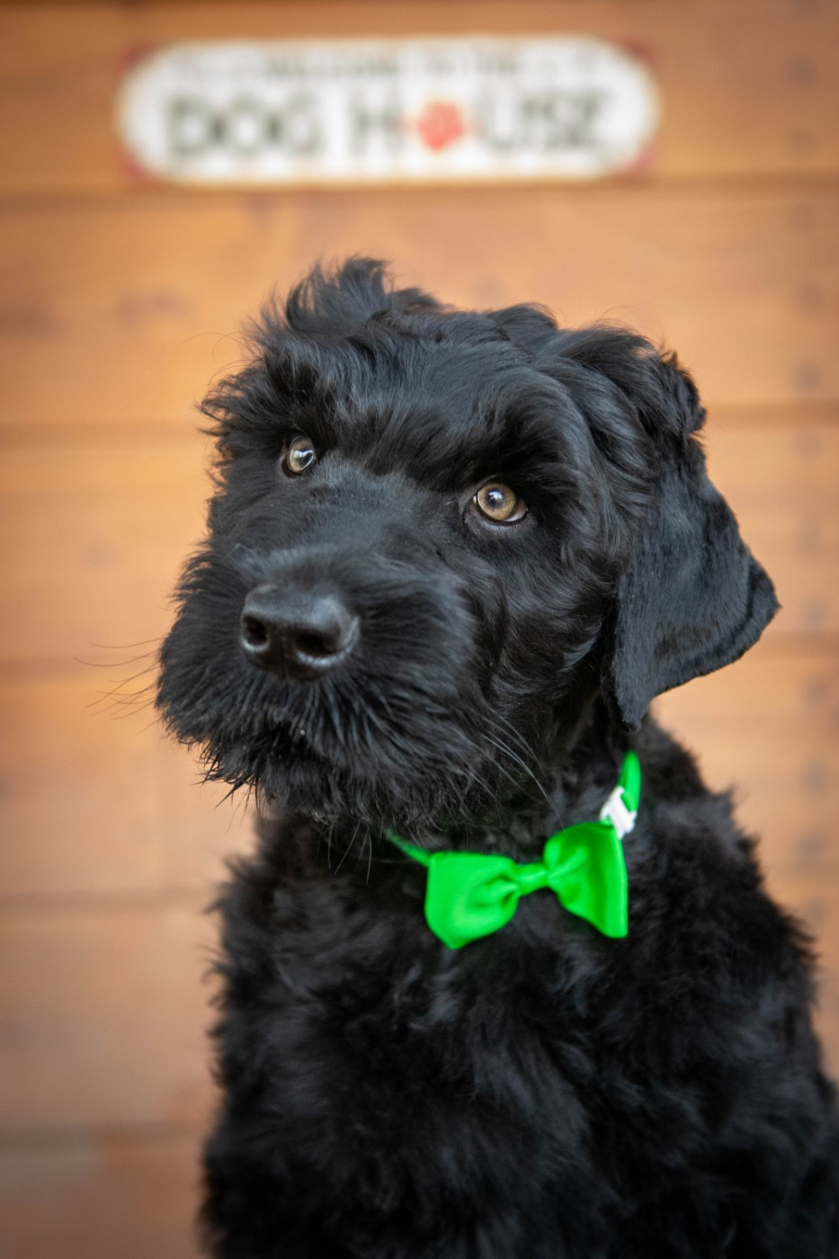 Guardian Of Oliferne - Tous les bébés sont réservés!