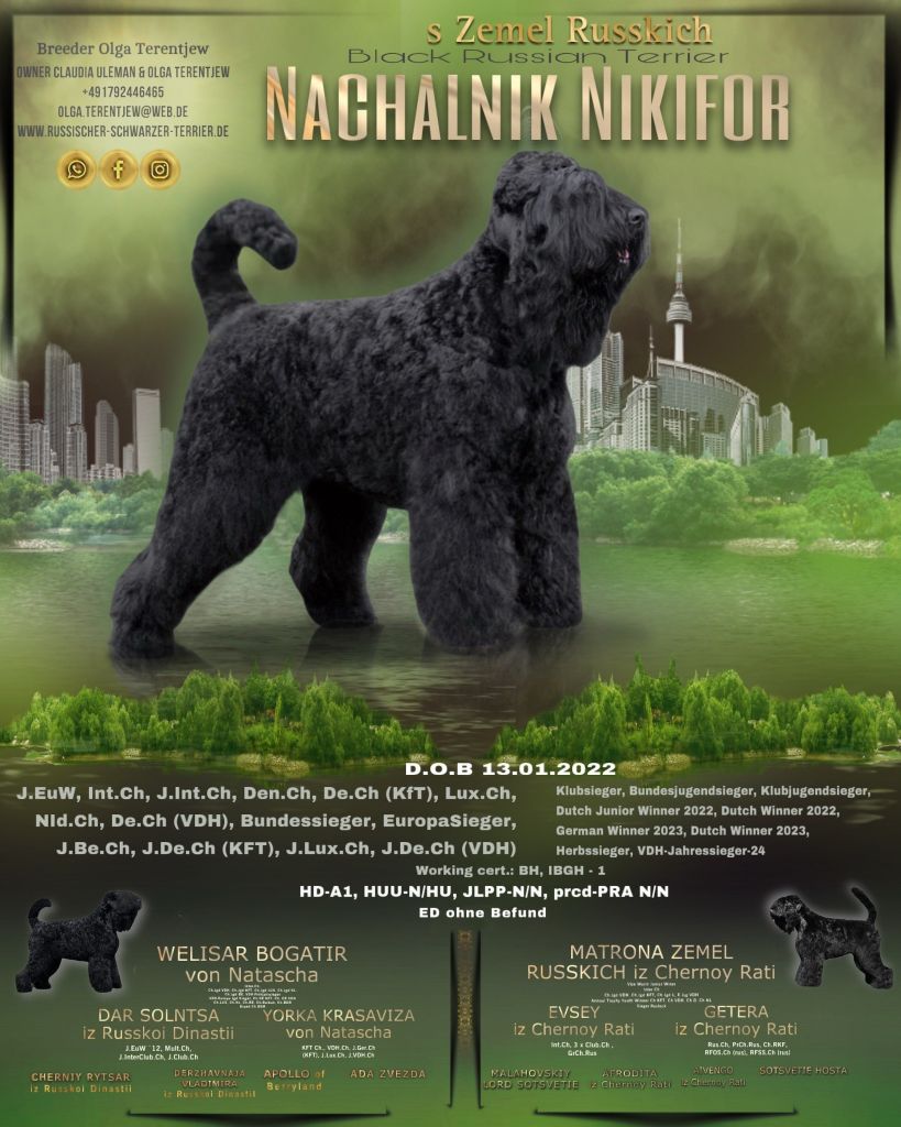 Guardian Of Oliferne - Prochaine portée janvier 2026