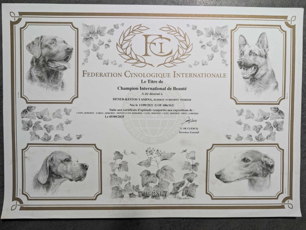 Guardian Of Oliferne - Titre de champion international